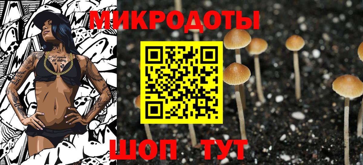 Лесной  Галлюциногенные грибы MAGIC MUSHROOMS  Вход с VPN 